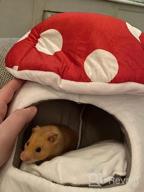 img 1 attached to Cozy Blue Mushroom Mini House For Small Pets: Hollypet Warm Bed For Hamsters, Hedgehogs, Rats, And Guinea Pigs review by William Gildea