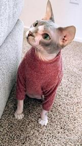img 6 attached to Sphynx Cat Sweaters - Cozy Turtleneck Knitwear For Hairless Cats, Exclusively For Felines, XS-2XL Sizes Available, Perfect For Holiday Season