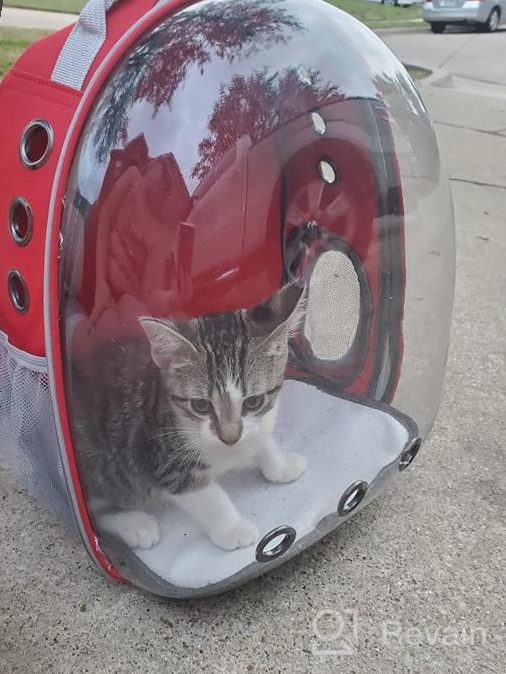 img 1 attached to XZKING Transparent Space Capsule Pet Carrier Bag – Cat Backpack Carrier with Bubble Design, Airline Approved Travel Carrier for Small Dogs, Cats, Puppies – Outdoor Use Hiking Backpack, Red Color review by Jeff Ross