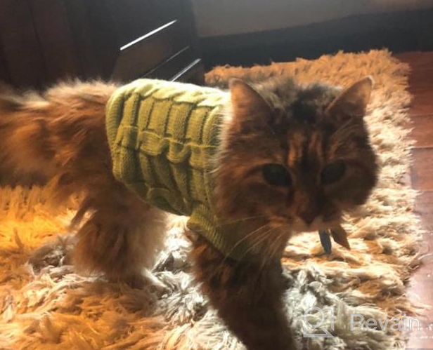 img 1 attached to Cozy Up Your Feline Friend With Our Turtleneck Cat Sweater – Perfect For Kitty, Chihuahua, Teddy, Poodle, Pug And Small Dogs! review by Nathan Kumar