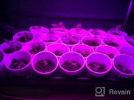 img 1 attached to 45W LED Grow Light, UNIFUN New Light Plant Bulbs Plant Growing Bulb For Hydroponic Aquatic Indoor Plants review by Amanda Thibault
