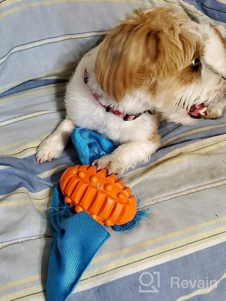 img 1 attached to Indestructible And Entertaining Candy Shaped Dog Toys For Small To Medium Size Puppies - Training And Teething Made Fun review by Kobby Cagle