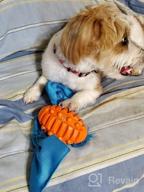 img 1 attached to Indestructible And Entertaining Candy Shaped Dog Toys For Small To Medium Size Puppies - Training And Teething Made Fun review by Kobby Cagle