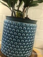 img 1 attached to 6 Inch Ceramic Planters Pots With Drainage Hole For Indoor Plants, Succulent Cactus - POTEY 054304 Vintage Style Polka Dot Patterned Bonsai Container (Plants NOT Included) review by Terry Napoleon