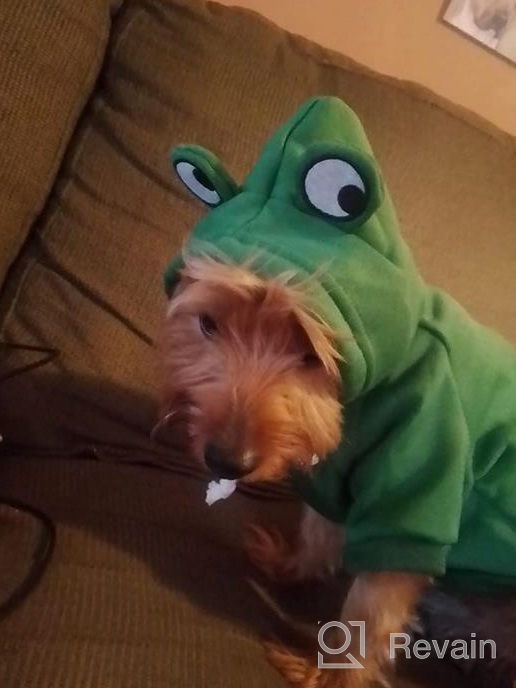 img 1 attached to SGQCAR Dog Hoodie Sweatshirt Puppy Sweaters Coats Cute Green Frog Dog Costume Winter Warm Jacket Pet Cold Weather Clothes Doggie Hooded Outfit Outerwear For Small Medium Dogs Cats L Frog… review by Justin Boisvert