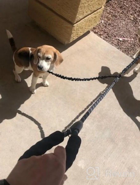 img 1 attached to Large 25-150 Lbs Black Dual Dog Leash With 360 Swivel No Tangle Walking, Shock Absorbing Bungee For Two Dogs - IYoShop review by Tim Wilson