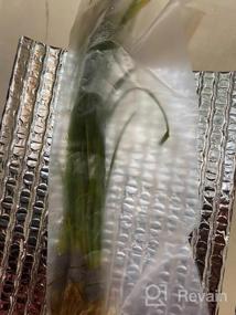 img 7 attached to Создайте потрясающий акваскейп со свежими карликовыми растениями Sagittaria Subulata из 3 пучков живых аквариумных растений от Greenpro