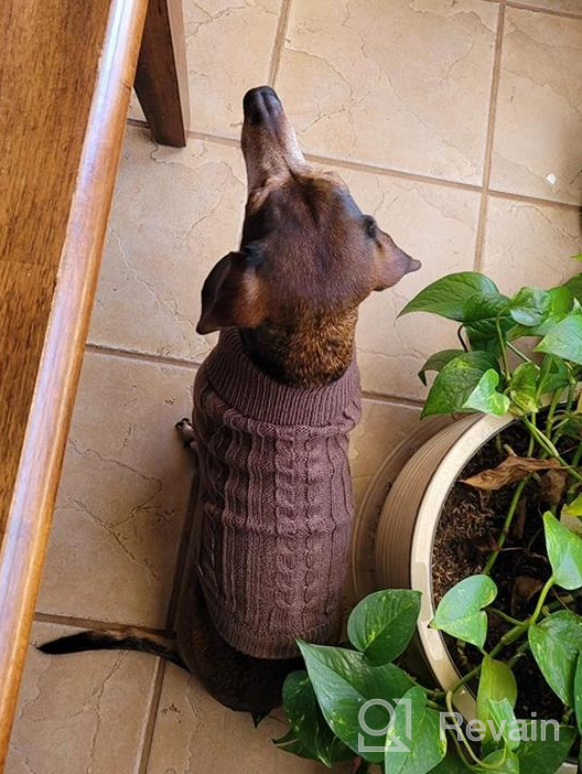 img 1 attached to Tangpan Turtleneck Classic Straw-Rope Pet Dog Sweater Apparel (Pink,S) review by Mauricio Woodard