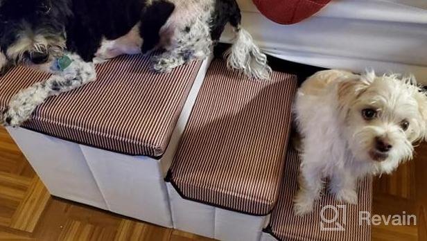 img 1 attached to Woolly Pet In Style: Convenient Foldable Pet Stairs For Small & Medium Dogs Up To 20Lbs – Multi-Tiered & Stylish – Ideal Pet Storage Solution! review by Wayne Espinoza