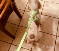 img 1 attached to Control Your Dog With Ease And Comfort: ARRR No-Pull Dog Harness With Front Leash Clip And Soft Padding For Small And Medium Sized Dogs review by Harel Leary