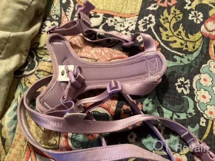 img 1 attached to Control Your Dog With Ease And Comfort: ARRR No-Pull Dog Harness With Front Leash Clip And Soft Padding For Small And Medium Sized Dogs review by Ricardo Mercado