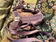 img 1 attached to Control Your Dog With Ease And Comfort: ARRR No-Pull Dog Harness With Front Leash Clip And Soft Padding For Small And Medium Sized Dogs review by Ricardo Mercado