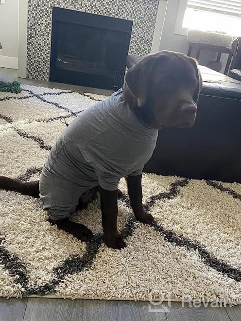 img 1 attached to Dog Surgery Recovery Suit Onesie With Long Sleeve - Stop Licking Wound, Soft Anxiety Relief Jacket After Surgery Wear E Collar Alternative For Dogs By LIANZIMAU review by Owen Houser