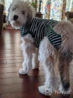 img 1 attached to Dog Recovery Suit After Surgery, 2Nd Edition - Male Female Dog Cats Cone E-Collar Alternative Abdominal Wounds Spay Bandages Onesie Anti-Licking Pet Surgical Snuggly Suit review by Emily Wilson