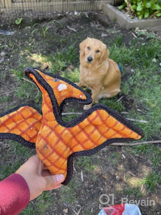 img 1 attached to Tuffy Junior Dinosaur Pteradactyl Dog Toy - Durable, Strong & Tough Squeaker Interactive Play Tug, Toss & Fetch Machine Washable Floats review by Chris Hart