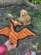 img 1 attached to Tuffy Junior Dinosaur Pteradactyl Dog Toy - Durable, Strong & Tough Squeaker Interactive Play Tug, Toss & Fetch Machine Washable Floats review by Chris Hart