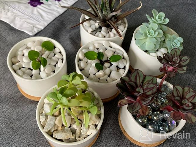 img 1 attached to Add A Touch Of Elegance To Your Garden With ZOUTOG Succulent Plant Pots - Set Of 4 Water Pattern Ceramic Pots With Bamboo Tray! review by Jay Chenier