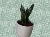 img 1 attached to 7 Inch White Ceramic Indoor Planters With Drainage Hole - Modern Decorative Plant Pots For Indoor Plants review by Antonio Parson