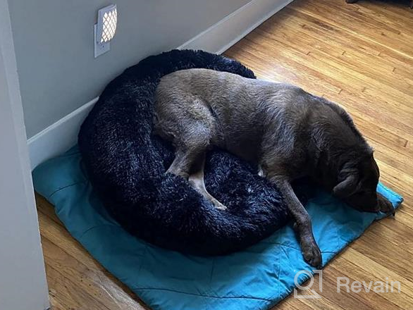 img 1 attached to Ultimate Comfort With PUPPBUDD'S Self-Warming Faux Fur Dog Bed - Perfect For Small Dogs Up To 35Lbs review by Corey Slivinsky