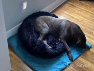 картинка 1 прикреплена к отзыву Ultimate Comfort With PUPPBUDD'S Self-Warming Faux Fur Dog Bed - Perfect For Small Dogs Up To 35Lbs от Corey Slivinsky