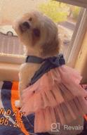 img 1 attached to 👗 QingLuo Sweet Puppy Dog Princess Dress - Pink/Purple Bow Lace Tutu Skirt - Doggie Dress for Dog/Cat (X-Small, Purple) review by Paul Walters