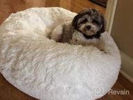 img 1 attached to Extra Plush Faux Fur Dog Bean Bed - Bessie & Barnie Bagel Circle Waterproof Dog Bed With Removable Washable Cover - Calming Pet Bed In Multiple Sizes & Colors review by Kathy Lee