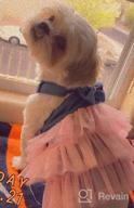 img 1 attached to Petite Pink And Purple Princess Dress With Bow And Lace Tutu For Petite Pups - XS Denim Strap And Pink Color Scheme review by Julius Robinson