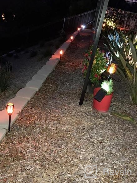 img 1 attached to Create A Stunning Outdoor Ambience With LUYE Low Voltage Flickering Flames Torches - Set Of 8 Pathway Lights For Yard And Patio Decoration review by Charles Osguthorpe