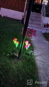 img 8 attached to 2 Pack Multi-Color Changing Lily Solar Flower Lights For Patio, Yard Decoration - TONULAX Outdoor Upgraded Solar Garden Lights With Bigger Flowers And Wider Panels (Purple & Red)