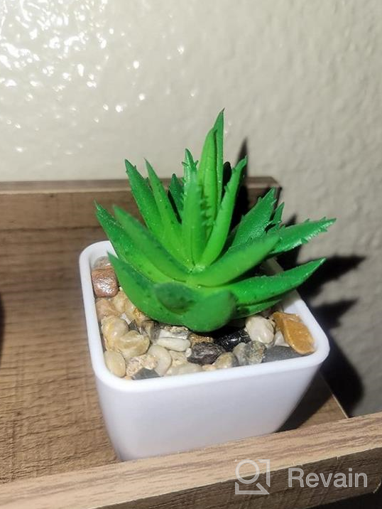 img 1 attached to Premium Artificial Aloe Plant For Crafting And Greenery Decor Indoors And Outdoors - Large 12.5Inch Unpotted Faux Succulents By Veryhome review by Donny Collins