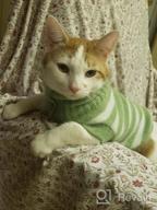 картинка 1 прикреплена к отзыву Очень тянущийся и мягкий полосатый свитер в стиле котика для кошек и маленьких собак - вязаная одежда Evursua для самцов и самок (S, синий) - сохраняющая их теплыми и модными от Dean Gomatham