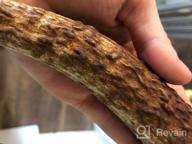 img 1 attached to Ultimate Chew Time: K9Warehouse Large Elk Antlers For Aggressive Dogs With Long-Lasting Odorless Whole Antler Chews review by Rene Carrell