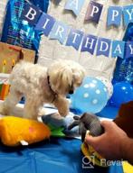 img 1 attached to Celebrate Your Pup'S Big Day With TCBOYING'S 11-Piece Dog Birthday Set – Blue Bandana, Hat, Scarf, Flags, Balloons & More! review by Roberto Tucker