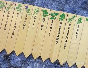 img 6 attached to 12-Pack Re-Usable Wooden Plant Labels - Perfect For Indoor/Outdoor Kitchen Herbs Garden Gifts