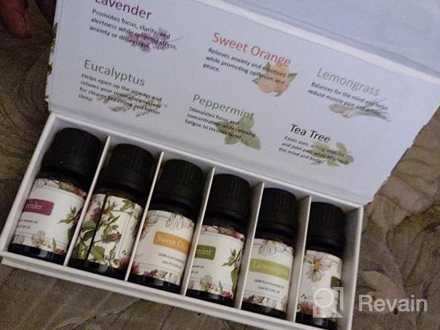 img 1 attached to 12-Piece Essential Oil Set - Eucalyptus, Tea Tree, Peppermint & More! review by Brandon Woods