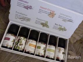 img 6 attached to 12-Piece Essential Oil Set - Eucalyptus, Tea Tree, Peppermint & More!