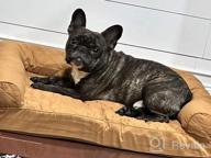 img 1 attached to Medium Memory Foam Dog Bed By Furhaven - Comfy Couch Plush Decor Sofa-Style With Removable & Washable Cover, Diamond Gray - Ideal For Small To Medium-Sized Dogs review by Damon Fuqua