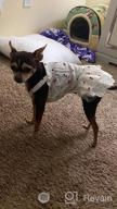 img 1 attached to 👗 CuteBone Summer Dog Dress with Harness D-Ring for Small Dogs Wedding Cat Clothes Girl Puppy Outfit Pink Shirt Flower Costume with Bow Hair Rope - DW02S review by Joe Bottomkent