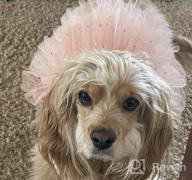 img 1 attached to 🦄 KYEESE Unicorn Tiered Layer Tutu Tulle Dog Birthday Party Dress with Sequins - Perfect for Small Dogs review by Bob Taylor