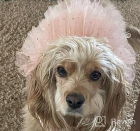 img 6 attached to 🦄 KYEESE Unicorn Tiered Layer Tutu Tulle Dog Birthday Party Dress with Sequins - Perfect for Small Dogs