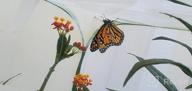 картинка 1 прикреплена к отзыву Explore Nature With RESTCLOUD 24-Inch Insect And Butterfly Habitat Cage Terrarium от Daniel Spear