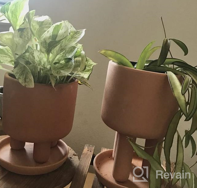 img 1 attached to Set Of 2 - 4.5" Terracotta Clay Plant Pots W/ 3 Legs & Saucer | Indoor Succulent Planters review by Jared Gopalan