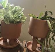 img 1 attached to Set Of 2 - 4.5" Terracotta Clay Plant Pots W/ 3 Legs & Saucer | Indoor Succulent Planters review by Jared Gopalan