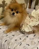 img 1 attached to 🐶 CuteBone Dog Dress with Harness D-Ring for Small Dogs, Wedding Cat Clothes, Girl Puppy Outfit in Pink, Shirt Flower Costume with Bow Hair Rope DW02M: Summer Fashion Must-Have review by Joe Olson