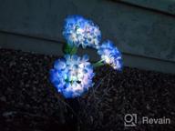 img 1 attached to 3 Pack Solar Garden Lights 2022 Version – Outdoor Colorful Hydrangea Flower Decoration, Two Lighting Modes & Enlarged Solar Panel - TONULAX review by Jesse Francilme