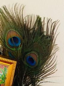 img 5 attached to 20Pcs Natural Peacock Feathers 10-12In - Great For Christmas, Halloween, Home Decor & Weddings!