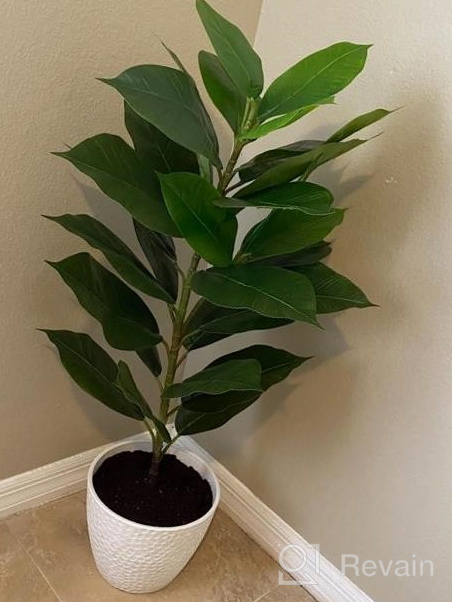 img 1 attached to BESAMENATURE Faux Tropical Rubber Tree Plant - Perfect For Office Or Home Decoration! review by Monica Kittling