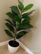 img 1 attached to BESAMENATURE Faux Tropical Rubber Tree Plant - Perfect For Office Or Home Decoration! review by Monica Kittling