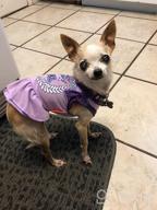 img 1 attached to 2 Pack Princess Bowtie Dog Dresses - Cute Sundresses For Small Dogs By KYEESE review by Richard Rosa