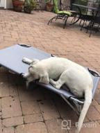img 1 attached to Durable Steel Frame Pet Cot - Foldable, Lightweight And Portable For Dogs & Cats | GigaTent Elevated Bed For Comfortable Play & Rest. review by Taj Tyagi